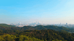 宛BD中轴线上城市绿洲